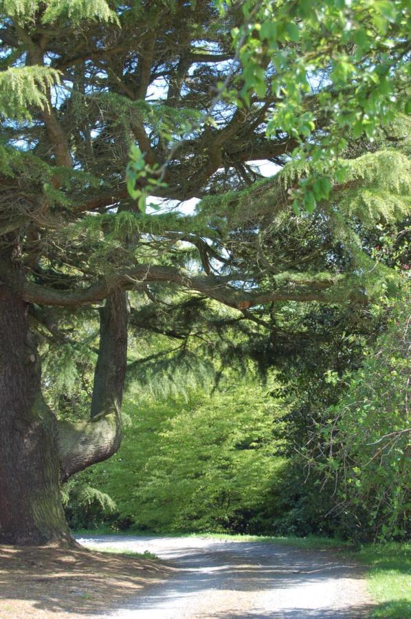 Ballydugan Country House 唐帕特里克 外观 照片