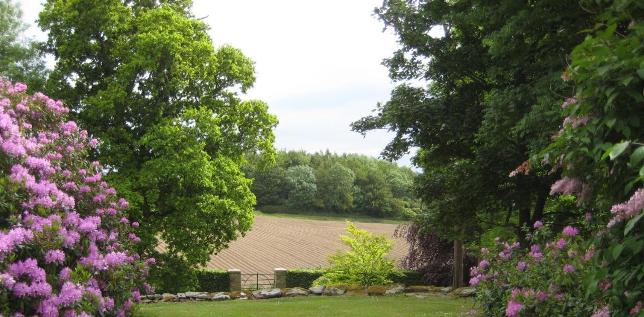Ballydugan Country House 唐帕特里克 外观 照片