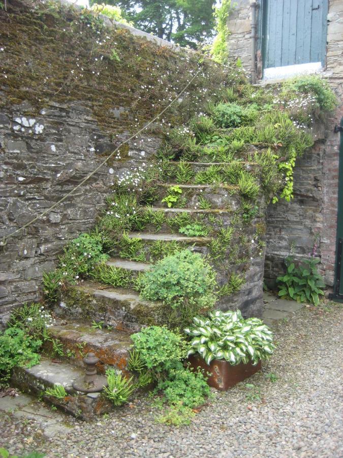 Ballydugan Country House 唐帕特里克 外观 照片