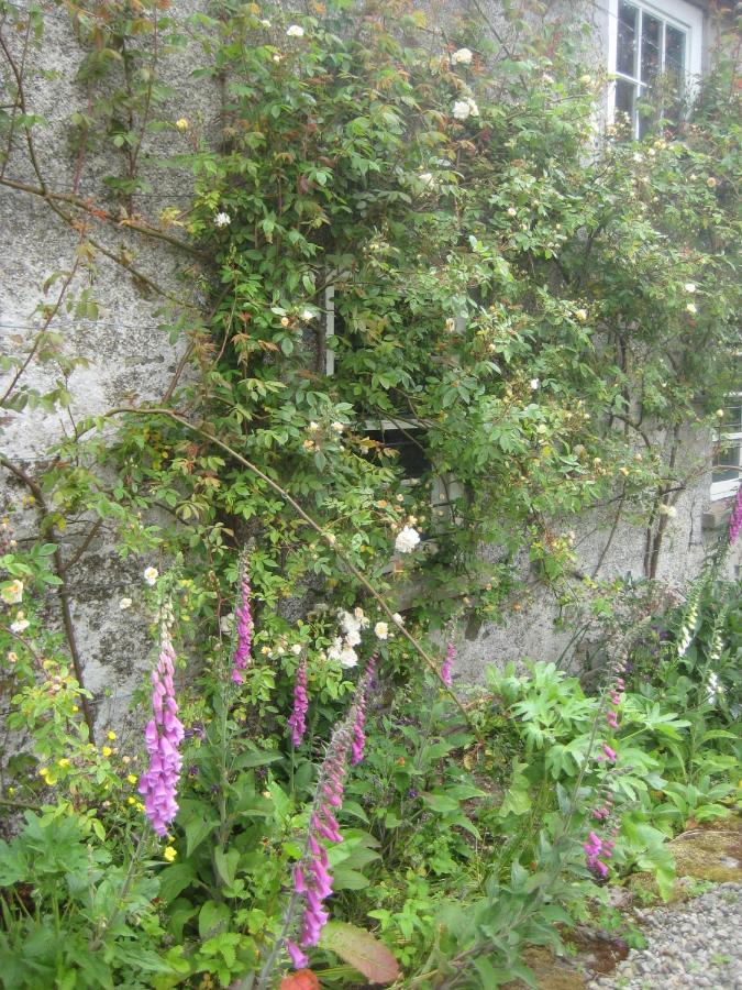 Ballydugan Country House 唐帕特里克 外观 照片