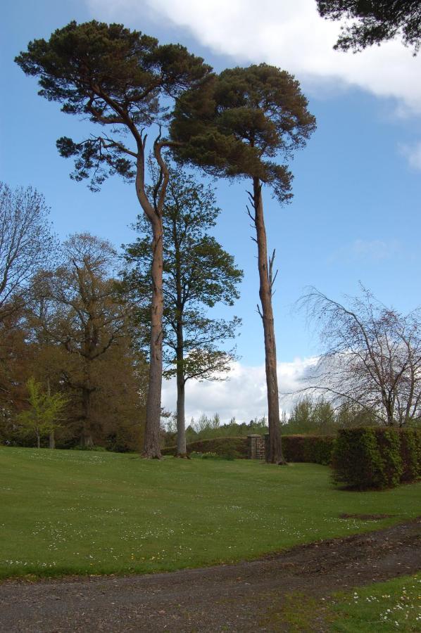 Ballydugan Country House 唐帕特里克 外观 照片