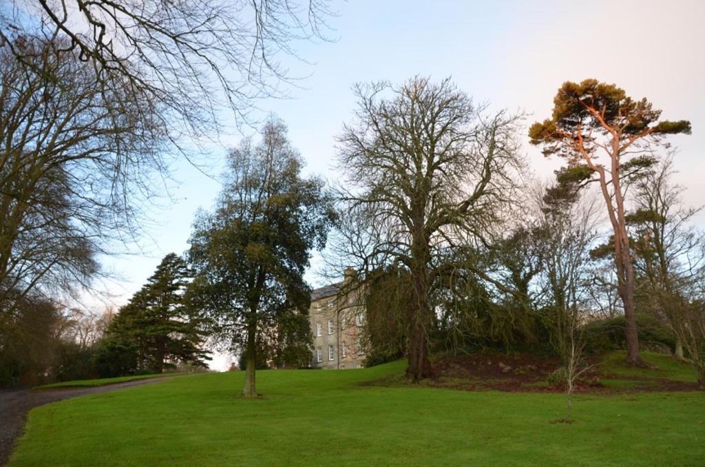 Ballydugan Country House 唐帕特里克 外观 照片
