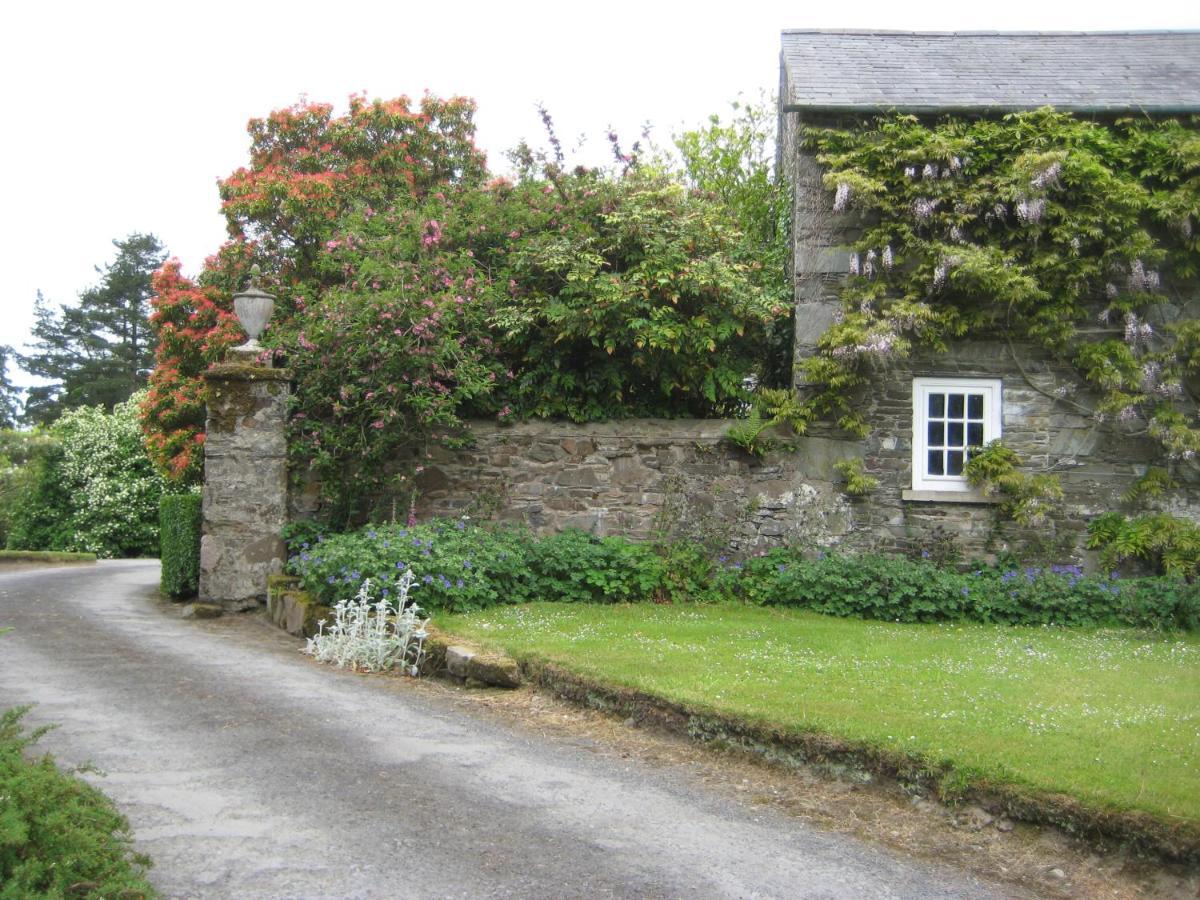 Ballydugan Country House 唐帕特里克 外观 照片
