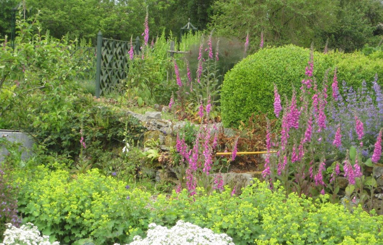 Ballydugan Country House 唐帕特里克 外观 照片