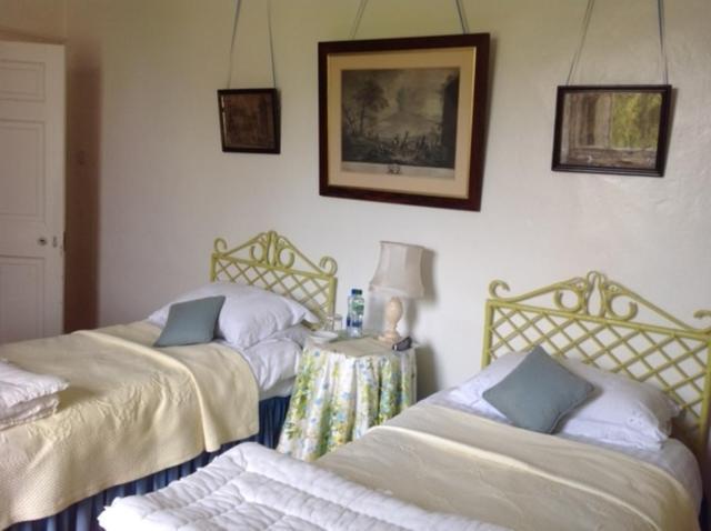 Ballydugan Country House 唐帕特里克 外观 照片