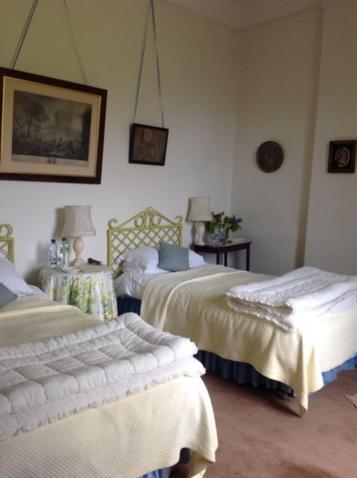 Ballydugan Country House 唐帕特里克 外观 照片